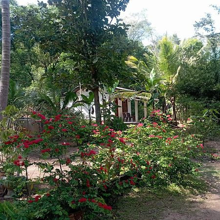 Sanjana Home Stay Habarana Exterior foto