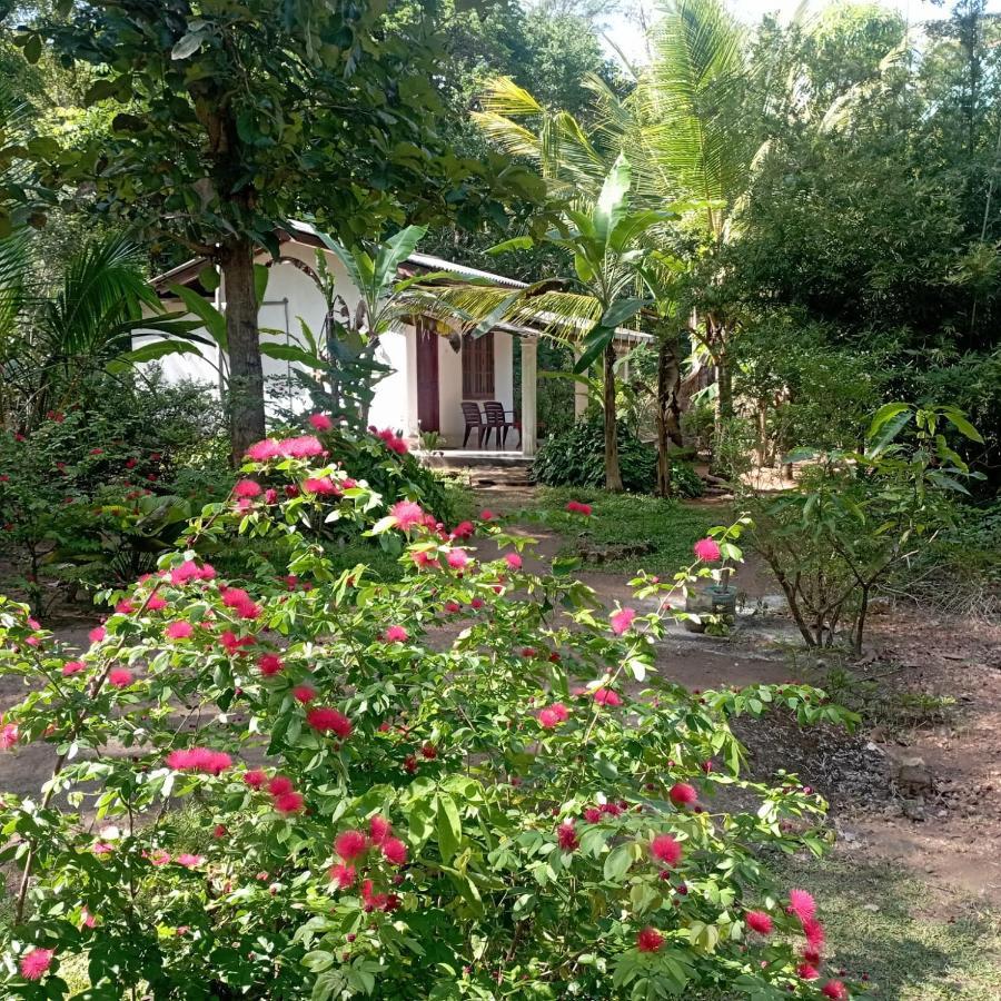 Sanjana Home Stay Habarana Exterior foto