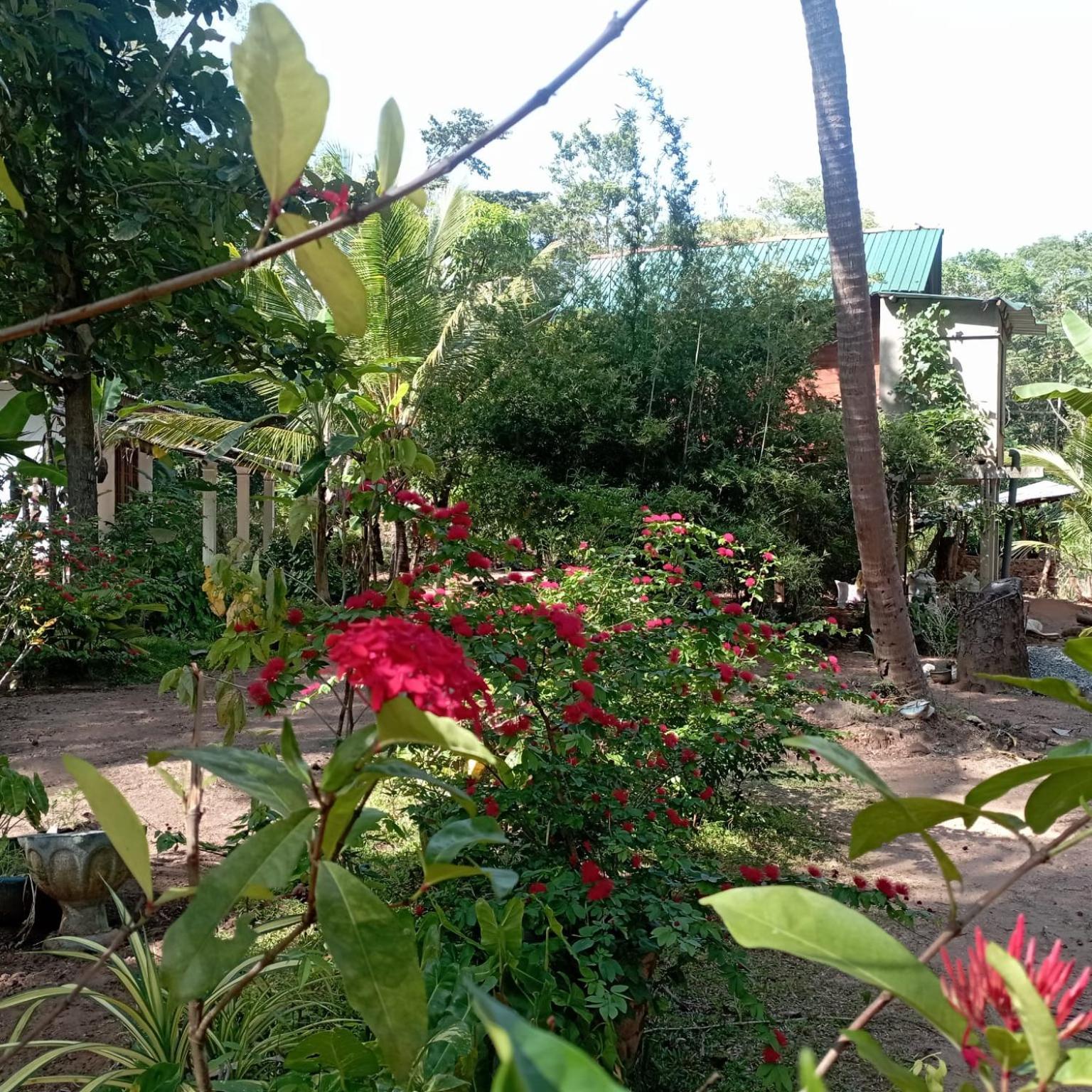 Sanjana Home Stay Habarana Exterior foto